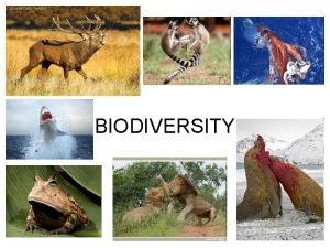 BIODIVERSITY What is biodiversity The variety of living