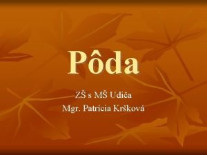 Pda Z s M Udia Mgr Patrcia Krkov