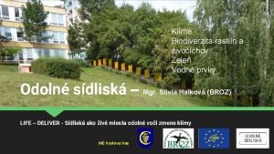 Klma Biodiverzita rastln a ivochov Zele Vodn prvky