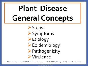 Plant Disease General Concepts Signs Symptoms Etiology Epidemiology