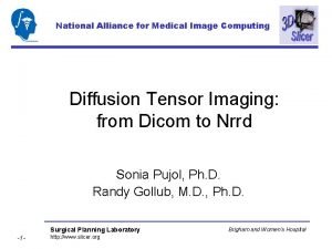 National Alliance for Medical Image Computing Diffusion Tensor