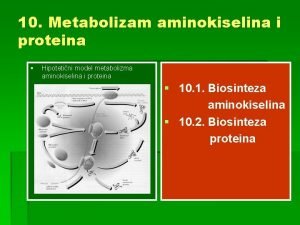 10 Metabolizam aminokiselina i proteina Hipotetini model metabolizma