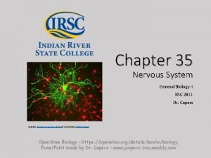 Chapter 35 Nervous System General Biology II BSC