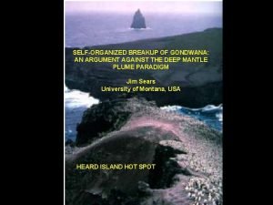 SELFORGANIZED BREAKUP OF GONDWANA AN ARGUMENT AGAINST THE