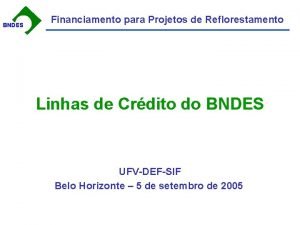 BNDES Financiamento para Projetos de Reflorestamento Linhas de