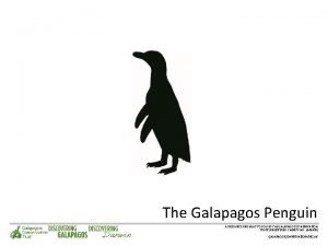 Galapagos penguin habitat map
