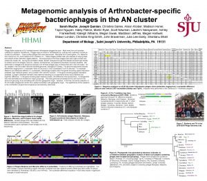 Metagenomic analysis of Arthrobacterspecific bacteriophages in the AN