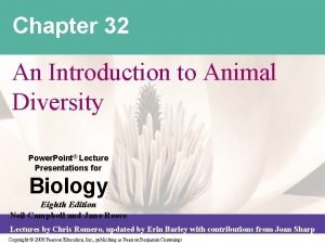 Chapter 32 An Introduction to Animal Diversity Power