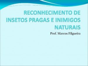 Prof Marcos Filgueira QUE UMA PRAGA Considerase praga