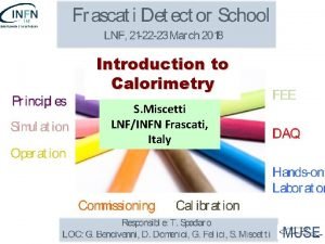 Introduction to Calorimetry S Miscetti LNFINFN Frascati Italy