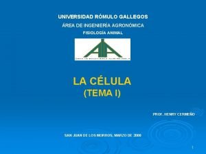 UNIVERSIDAD RMULO GALLEGOS REA DE INGENIERA AGRONMICA FISIOLOGA