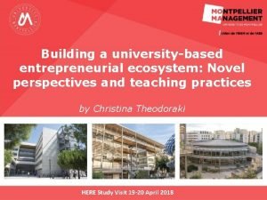 Building a universitybased entrepreneurial ecosystem Novel perspectives and