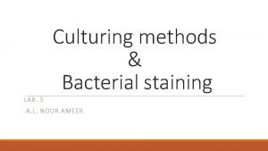 Culturing methods Bacterial staining LAB 5 A L