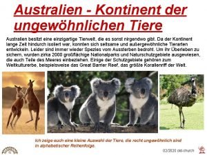Typisch australische tiere Typisch australische tiere