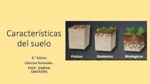 Caractersticas del suelo 6 bsico Ciencias Naturales PROF