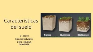 Cuales son las características del suelo