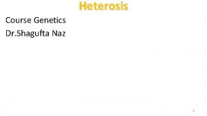 Heterosis Course Genetics Dr Shagufta Naz 1 Heterosis