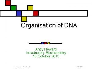 Organization of DNA Andy Howard Introductory Biochemistry 10