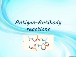 AntigenAntibody reactions Lets start The immune system is