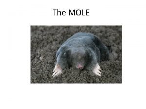 The MOLE Chemists need a convenient method for