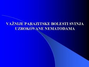 VANIJE PARAZITSKE BOLESTI SVINJA UZROKOVANE NEMATODAMA l Parazitske