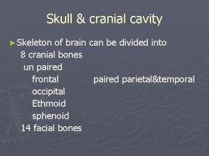 Skull cranial cavity Skeleton of brain can be