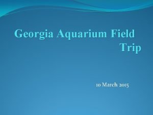 Georgia Aquarium Field Trip 10 March 2015 Georgia