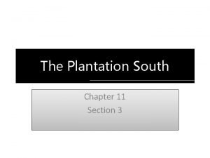 Chapter 11 section 3 the plantation south