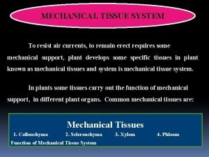 Mechanical tissue system