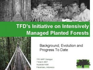 TFDs Initiative on Intensively Managed Planted Forests Background