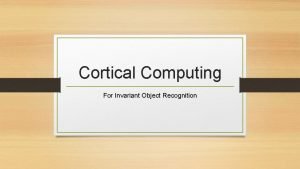 Cortical Computing For Invariant Object Recognition How complex