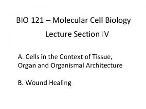 Molecular cell biology lecture