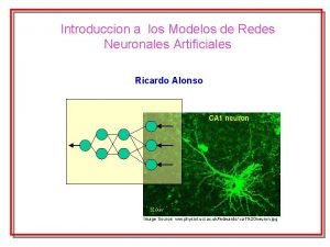 Introduccion a los Modelos de Redes Neuronales Artificiales