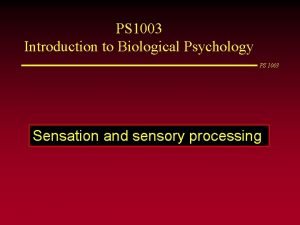 PS 1003 Introduction to Biological Psychology PS 1003