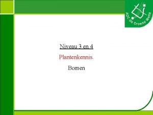 Niveau 3 en 4 Plantenkennis Bomen Plantenkennis Acer