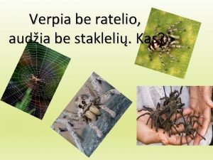 Verpia be ratelio audia be stakleli Kas Medyje