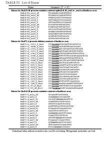 Primer name list