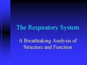 The Respiratory System A Breathtaking Analysis of Structure