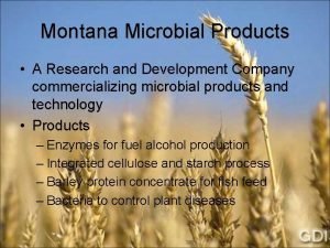 Montana microbial products