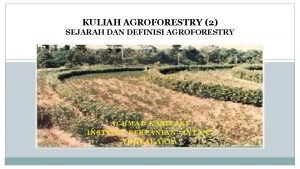 KULIAH AGROFORESTRY 2 SEJARAH DAN DEFINISI AGROFORESTRY ACHMAD