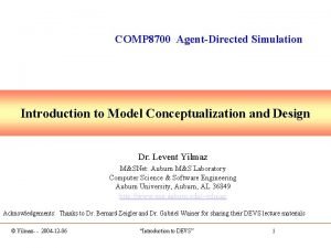 Model conceptualization in simulation