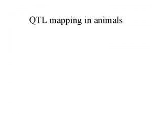 QTL mapping in animals QTL mapping in animals