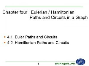 Euler paths
