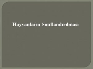 Hayvanlarn Snflandrlmas 3 Kme Eucoelomata Slom denilen ikinci