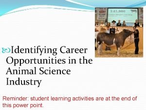 Identifying Career Opportunities in the Animal Science Industry