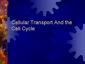 Cellular Transport And the Cell Cycle Diffusion Diffusion