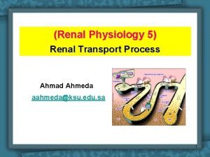 Renal Physiology 5 Renal Transport Process Ahmad Ahmeda