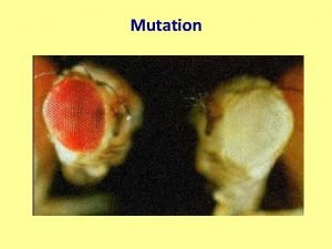 Mutation Mutation Means change Definition An event that