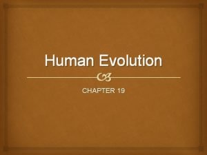Human Evolution CHAPTER 19 19 1 primates Primates