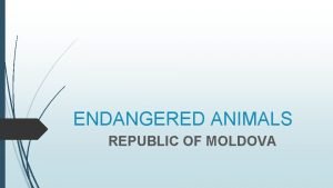 ENDANGERED ANIMALS REPUBLIC OF MOLDOVA ENDANGERED ANIMALS The